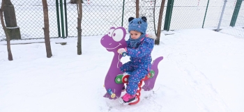 637986701_1486959942946729_9141021030930747133_n