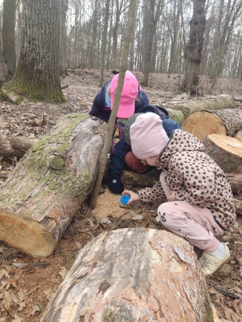 661660516_2910406939291090_7639656344741656694_n