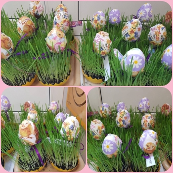 658890604_5231629827062912_3348416861663119657_n