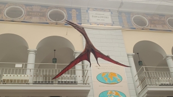 652812117_34831240319800606_7804281508787739764_n