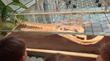 653209535_34831240916467213_3082557511896399887_n