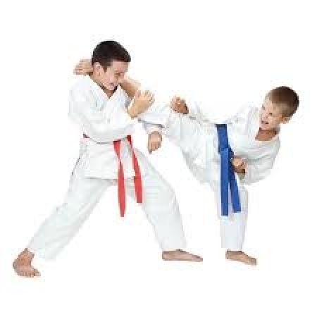 Zajęcia karate Sowy - 22.05.2025