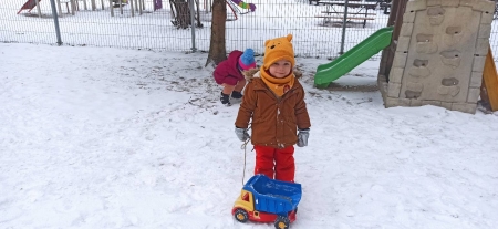 Zimowe zabawy w ogrodzie - Kotki