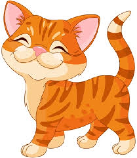 Kotki