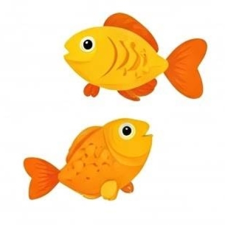 Rybki
