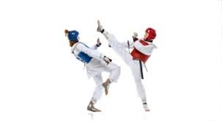 Zajęcia z Taekwondo – 17.03.2025
